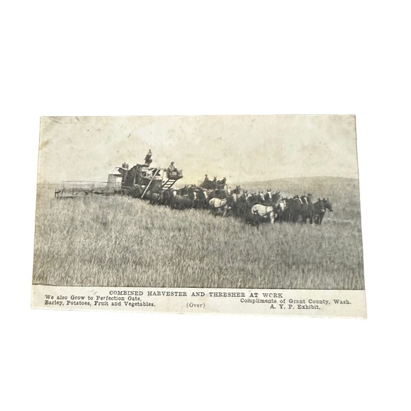 Vtg Postcard Grant County WA Harvesters Farming Wheat Prices 1907 Comparison Ag - Picture 1 of 4